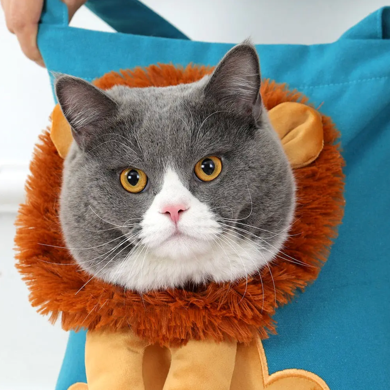 Sac de transport pour animaux – Design lion